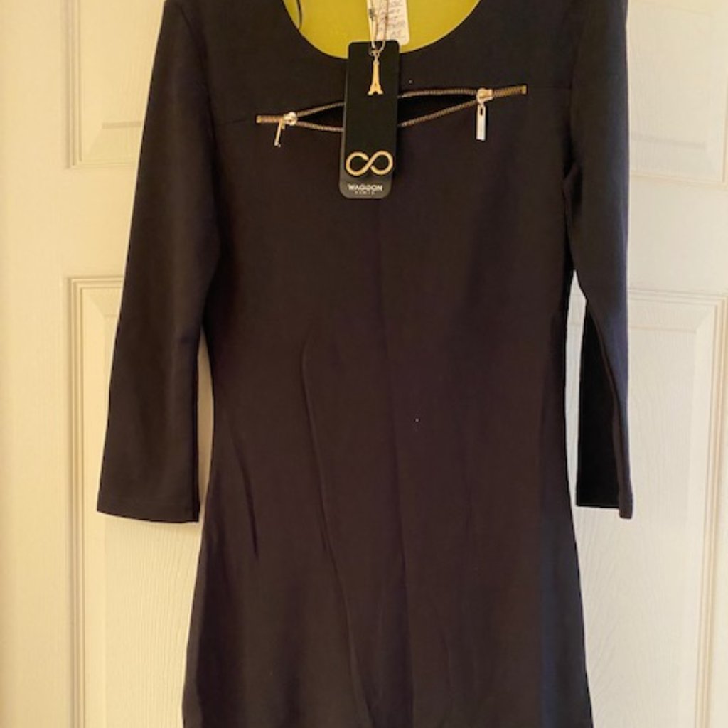 Brand New Paris Waggon Dress